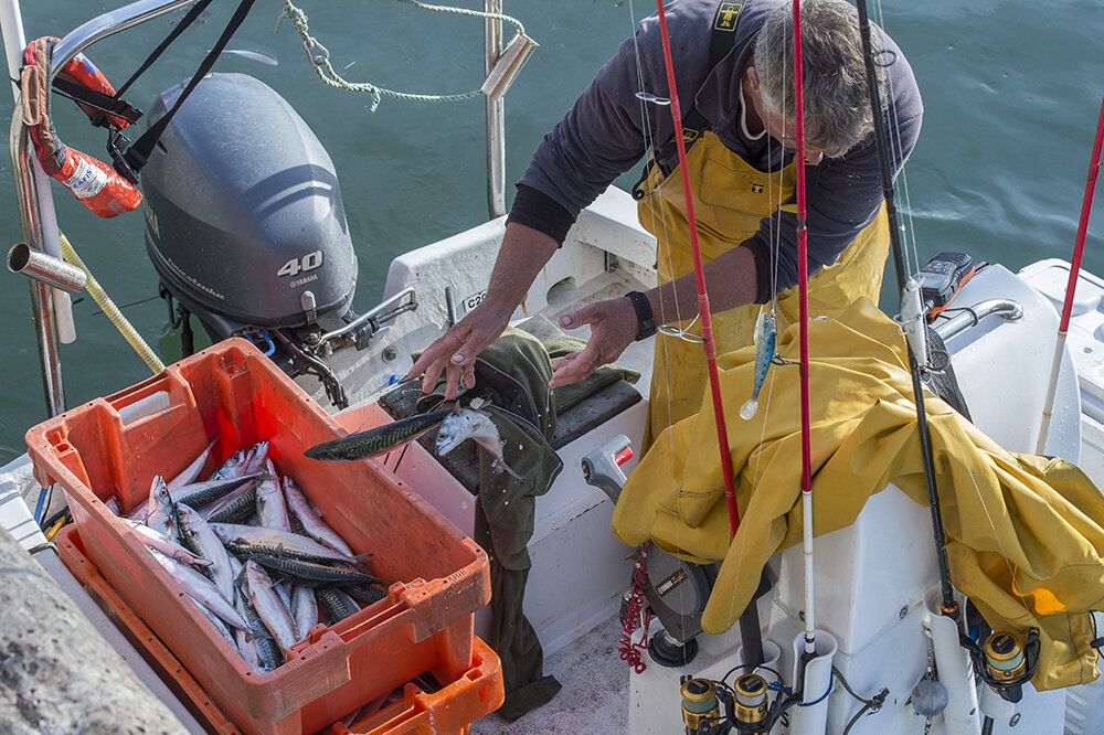 NO CREDIT Visit Plymouth (55).jpg